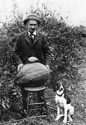 Walter Heath